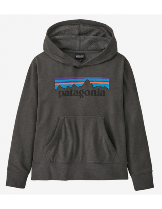 Patagonia Kids Lw Graphic Hoody Sweat - Forge Grey - Sweat Enfant  - Cover Photo 1