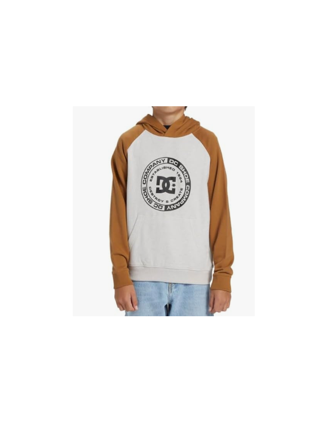 Dc Shoes Corpo Raglan Ph Boy - Heather Chipmunk - Sweat Enfant  - Cover Photo 1