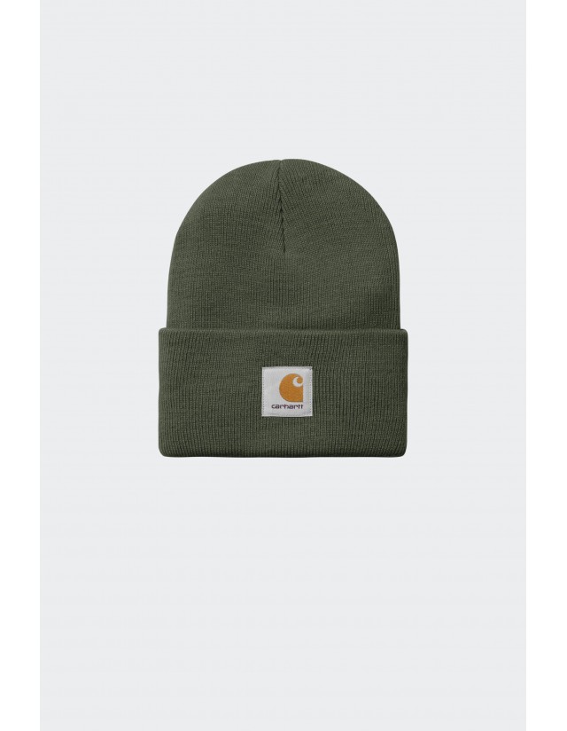 Carhartt Wip Watch Hat - Opuntia - Mütze  - Cover Photo 1