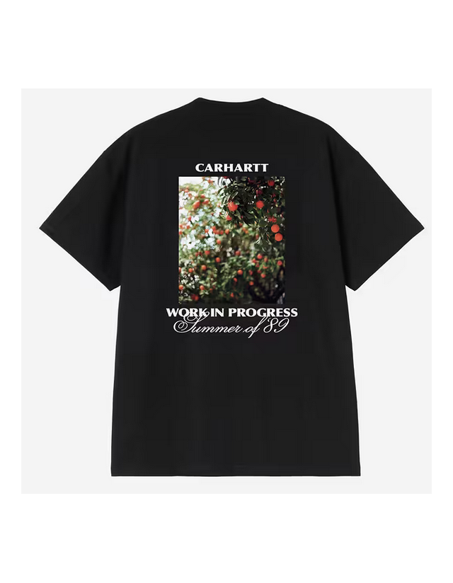 Carhartt Wip Warm Views T-Shirt - Black - T-Shirt Voor Heren  - Cover Photo 1