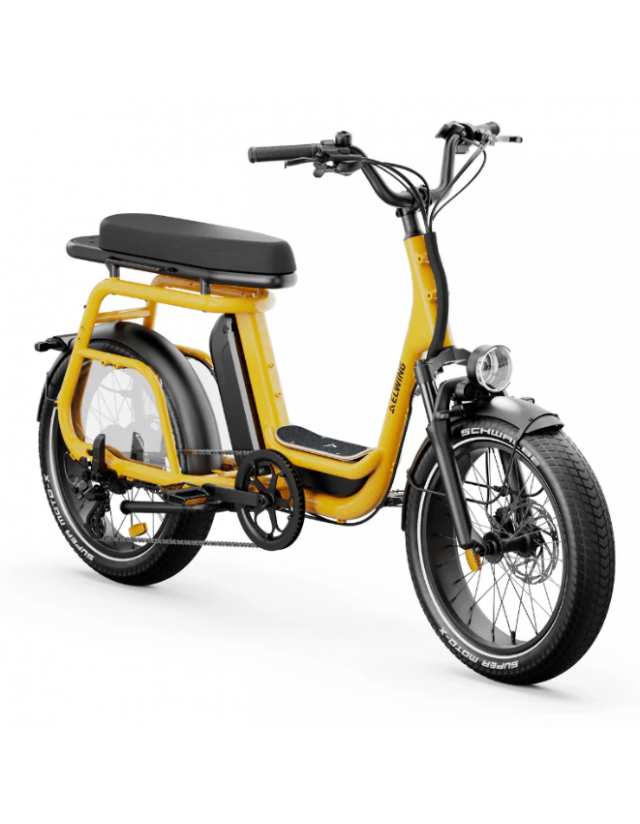 Ritmic Duo Compact Cargo - Safran - Vélo Éléctrique  - Cover Photo 1